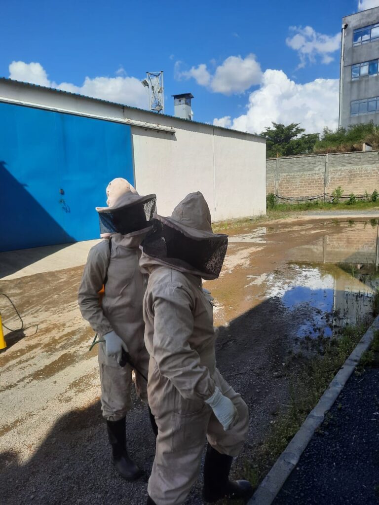 shinyclean kenya bees removal services